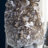 Ellyonna Landscape & Nature Crystal