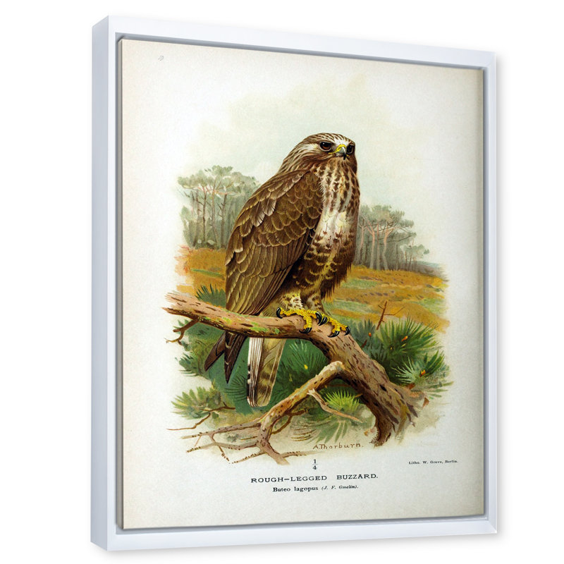 Vie d'oiseau rétro - peinture sur toile, H 40 po x l 30 po x 1,5 po, Cadre flottant blanc