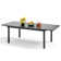 Birmadevi Extendable Rectangular Steel Outdoor Dining Table