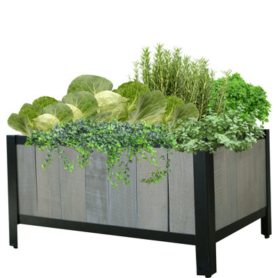 Madicyn Raised Garden Bed