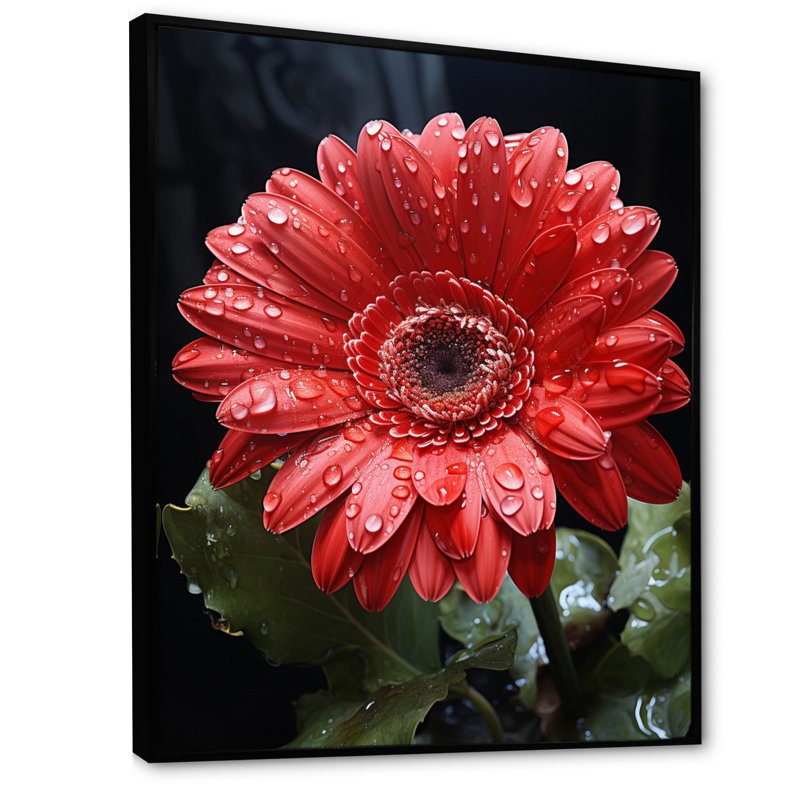 Red Daisiy Flowers I - Art mural sur toile florale, H 32 po x l 24 po x P 1 po, Cadre flottant noir