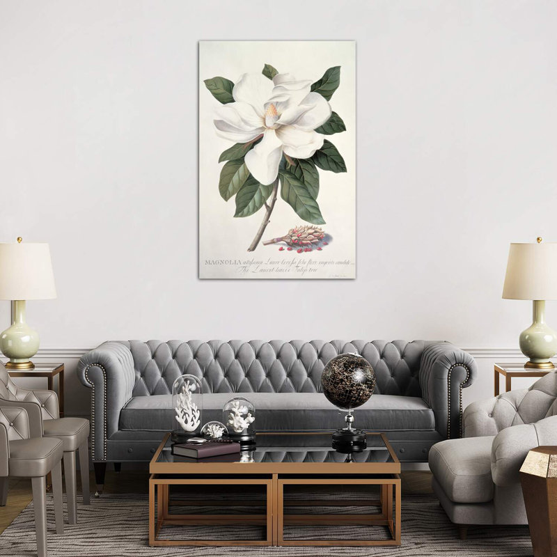 Magnolia by Georg Dionysius Ehret - Wrapped Canvas Print, 152.5 cm H x 101.5 cm W