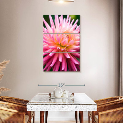 Dahlia Jeanne D'Arc