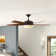 Alizabeth 60'' Ceiling Fan with LED Lights
