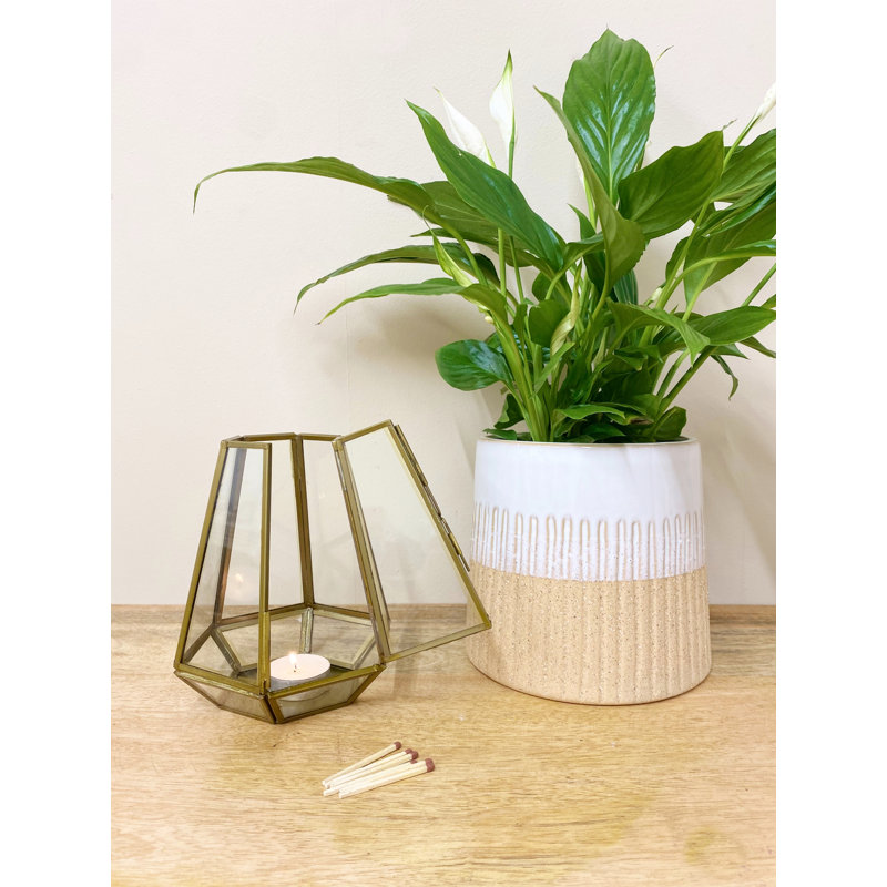 Glass Tabletop Tealight Holder, 16 cm H x 13 cm W x 13 cm D