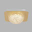 Anyelin Acrylic LED Flush Mount-1883329424