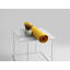 Prue Frame Coffee Table-40239692-40239691