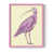 Pink is unavailable
