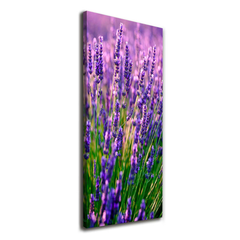 Lavender Field - Wrapped Canvas Print