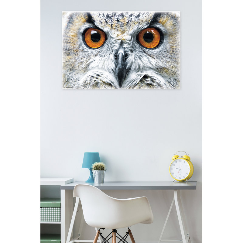 Impression sur papier hibou-close