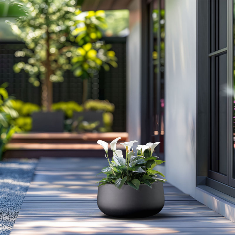 Pot à fleurs en béton Renfrew, H 8 po x l 15 po x P 15 po, Noir anthracite