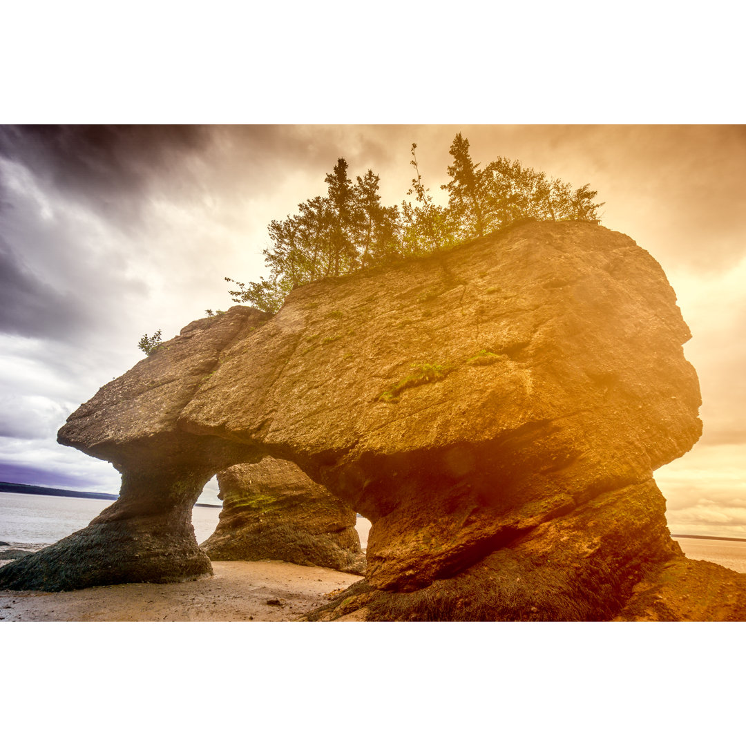 Hopewell Rocks von Instants - Kunstdrucke auf Leinwand