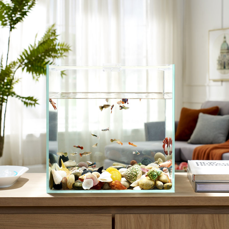 Cove 11 Gallon Clear Glass Fish Tank with Removable Lid