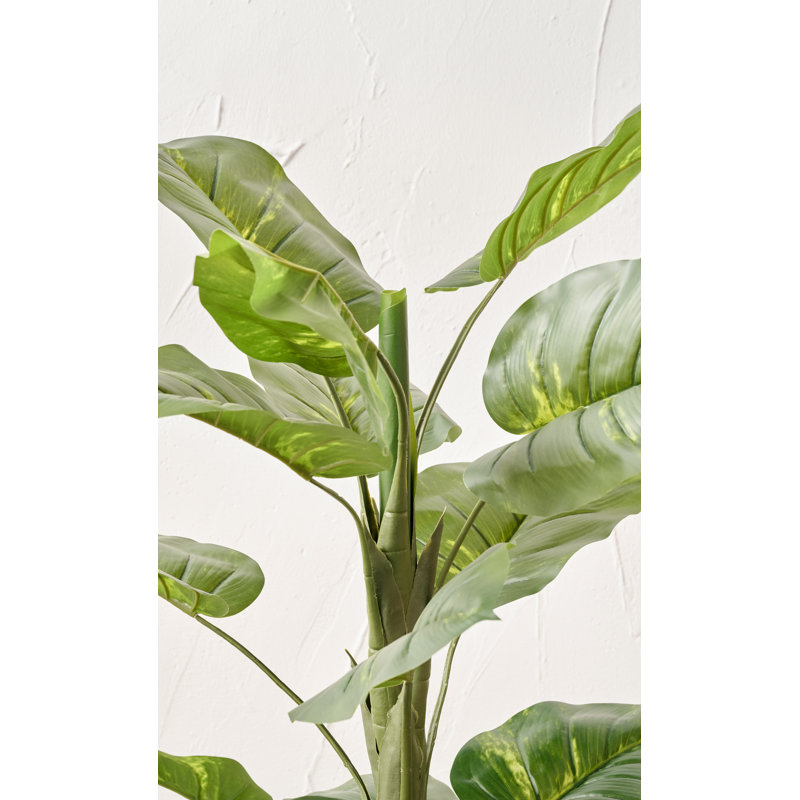120cm Faux Plant in Cement Pot