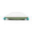 Lucky Cactus Square Performance Pillow Cover & Insert