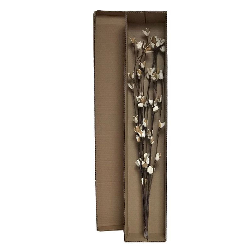 Tige de branche de pois sucrés