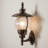 Galen 1-Light Outdoor Armed Sconce