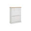 Bruce 12 Pair Shoe Storage Cabinet-16773154