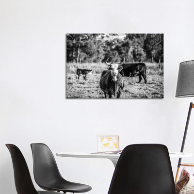 Black & White Steer by Melissa Hanley - Wrapped Canvas Print