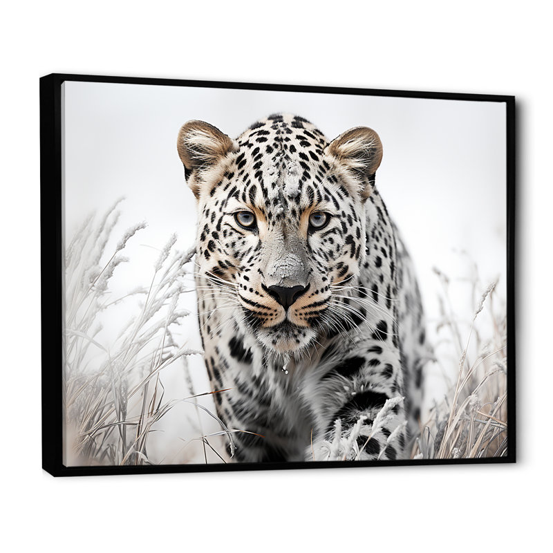 Jungle Leopard Stalk I - Leopard, Cadre flottant noir, H 34 po x l 44 po x P 1,5 po