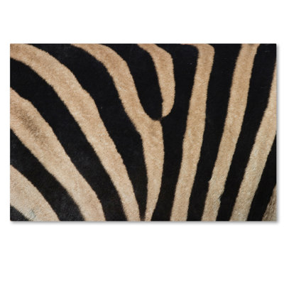 Wrapped Canvas Wall Art - Robert Harding Picture Library 'Zebra Skin' Wall Art for Living Room, Bedroom, or Office Décor - 22x32