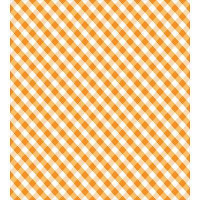 Gingham Duvet Cover