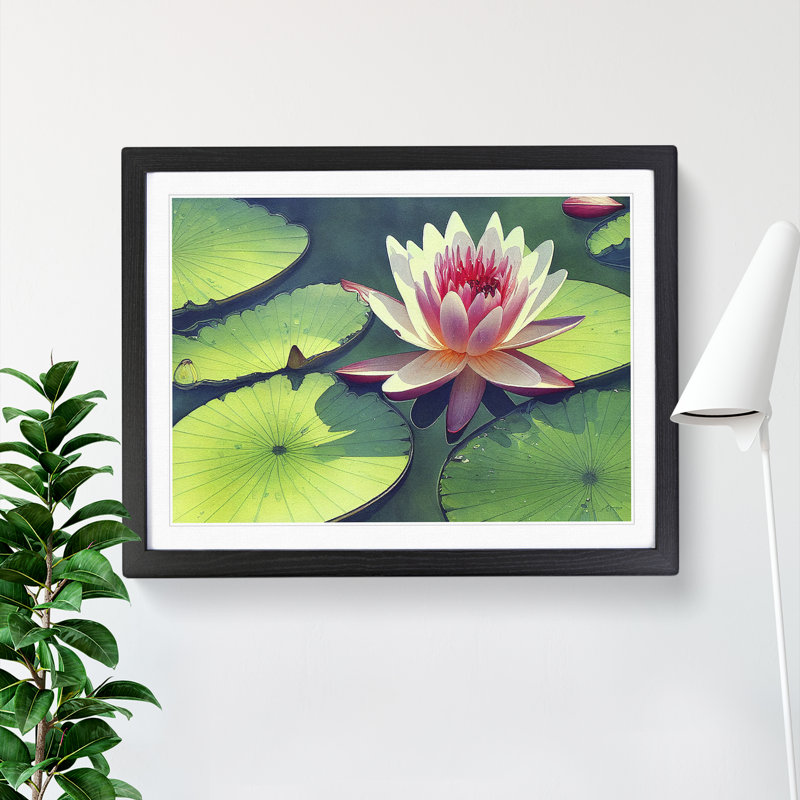 Watercolour Water Lily Flower Vol.6 - Single Picture Frame Print, Black, 46cm H x 64cm W