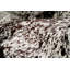 Tapis brun et blanc en peau de vache-1464873334