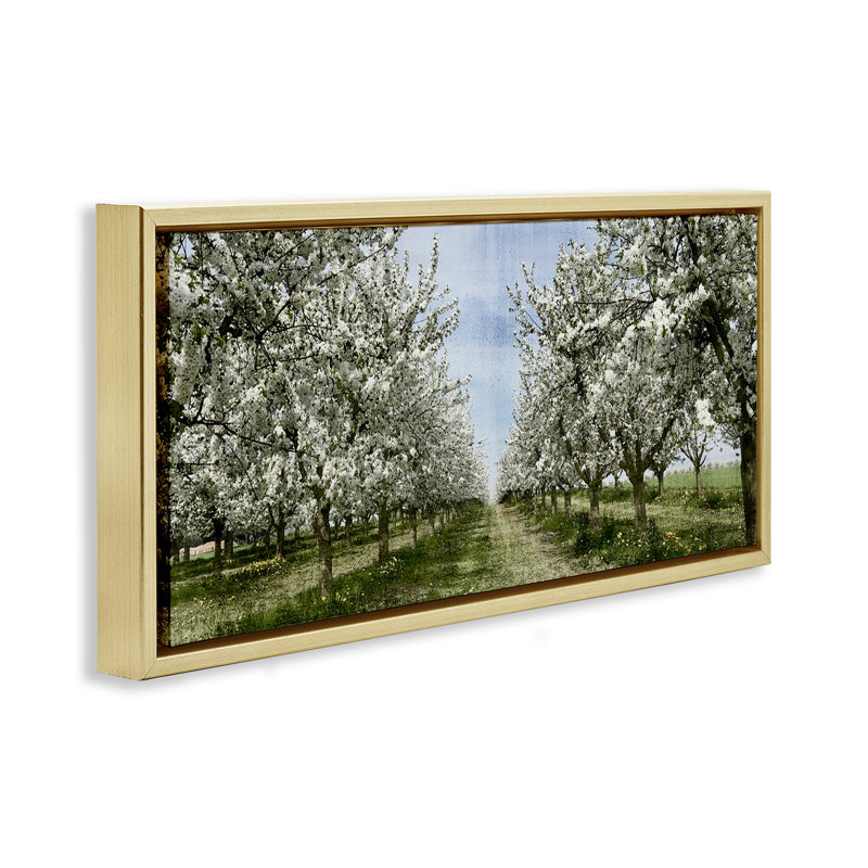 Arbre blanc en fleurs, Cadre flottant métallique doré, H 14 po x l 31 po