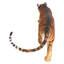Statue de tigre du Bengale, animal sauvage à grande échelle