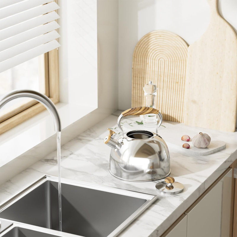 Bouilloire de 2,6 litres pour cuisinière, Argent