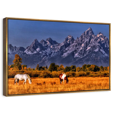 Chevaux paissant à Grand Teton