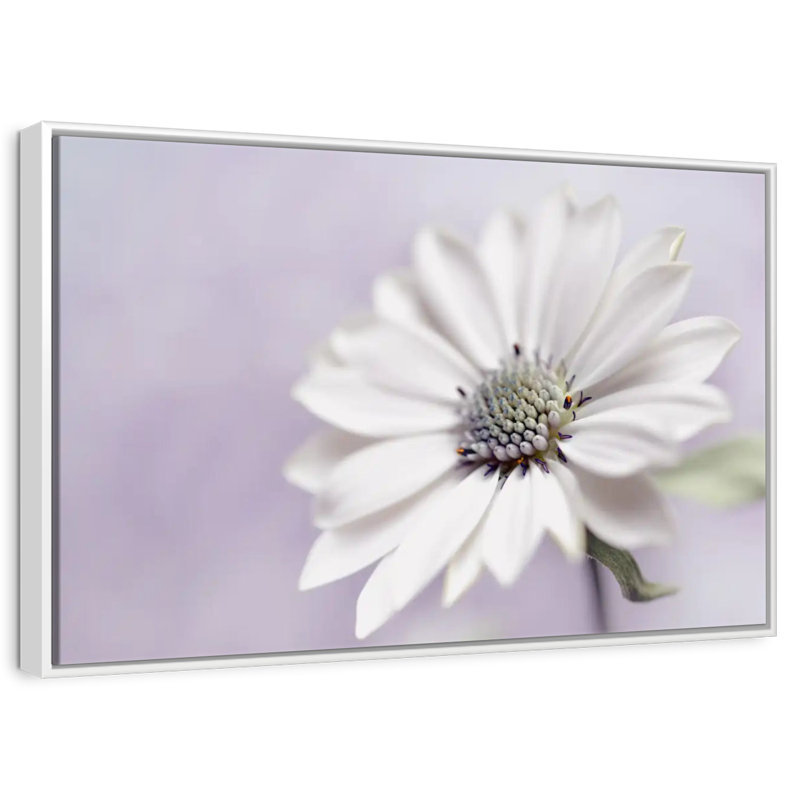Wintery, Floating Frame White, 46" X 31"