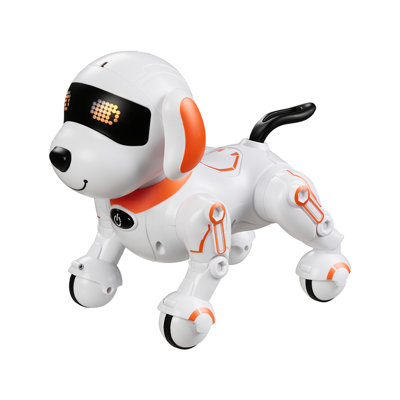 Programable Remote Control Dog Toy