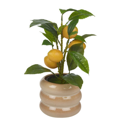 Ryhor Pot Planter