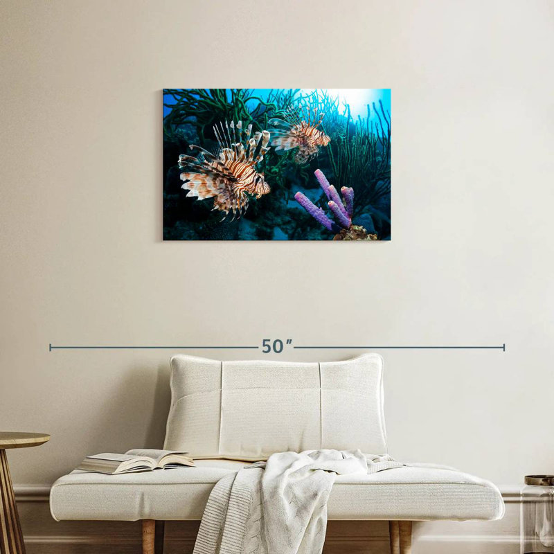 Brampt Atlantic Ocean Lionfish, 20" H x 30" W