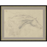 Sketch Of Horses Head Giclee Print by Soicher Marin Archives