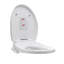 Elongated Toilet Seat and Lid