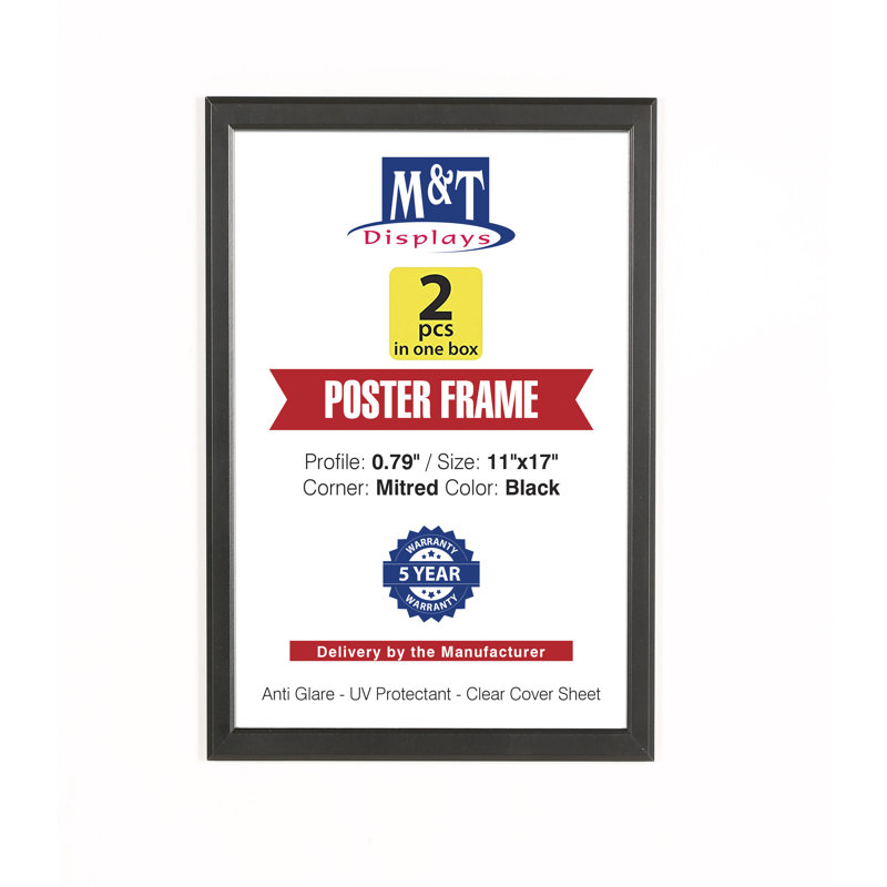 Metal Picture Frame - Set of 2, Black, 11" x 17"