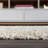 Felicdad Shag Plush Cream Rug-1154250276
