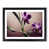 Black Framed selected