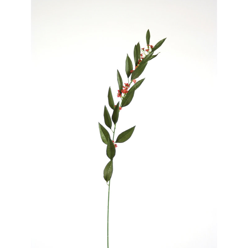 Polysilk Euphobia Arrangement