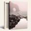 Art mural sur toile Misty Coastal Arch and Driftwood on Rocks-133460359