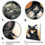 Chat noir dans des verres sur toile-437119283-437119240