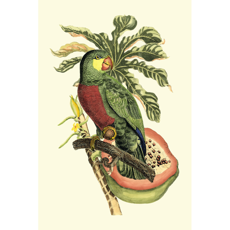 Tropical Birds And Botanicals II by Vision Studio - Wrapped Canvas Art Prints, 46cm H x 30cm W x 3.8cm D