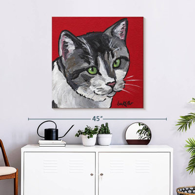 Chat tigré sur fond rouge