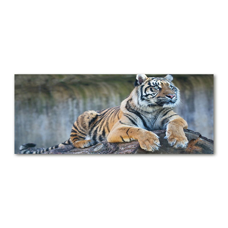 Tiger - No Frame Print on Canvas