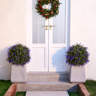 Birch Lane™ Tasmin Artificial Lavender Topiary Ball Tree with Stake ...
