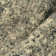 Goben Vintage Oriental Brown Area Rug