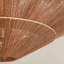Condesa 6 - Light Chandelier